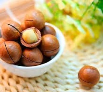 Nueces de Macadamia con cáscara (1 Kg) – Why Nut