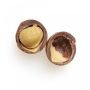 nueces de macadamia con cáscara why nut